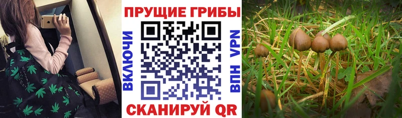 что такое наркотик  мега   Галлюциногенные грибы мухоморы  Сясьстрой 