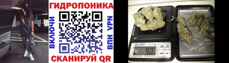 купить   кракен ТОР  Бошки Шишки Ganja  Сясьстрой 